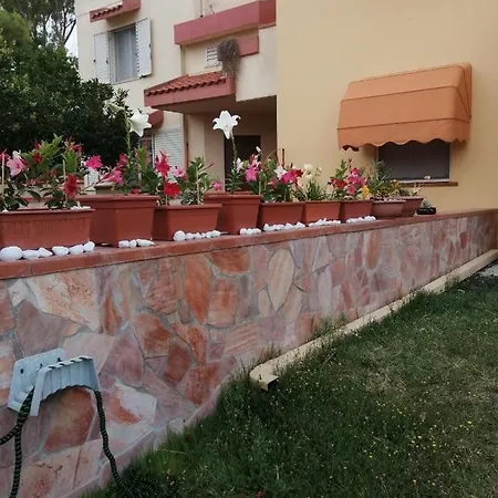 Pensionat Domomea