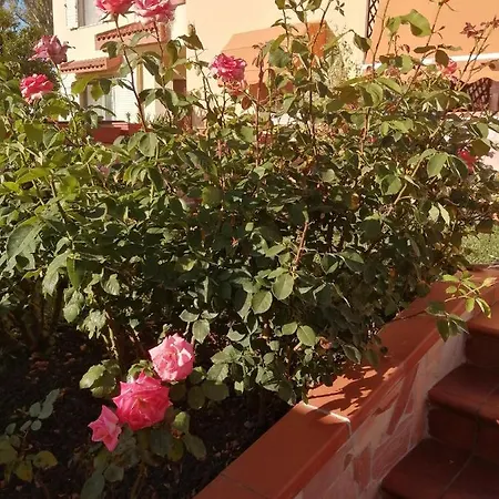 Domomea Gasthuis Quartu SantʼElena