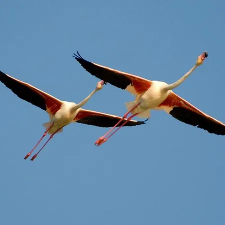 Konukevi Domomea Quartu SantʼElena