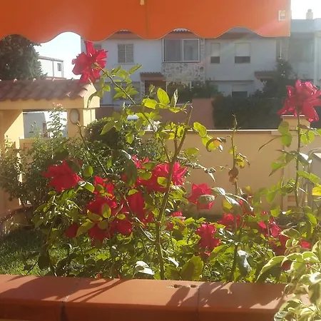 ゲストハウス Domomea